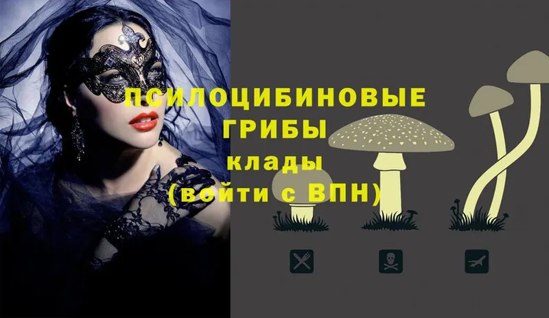 Псилоцибиновые грибы Magic Shrooms  где найти наркотики  Тюкалинск 